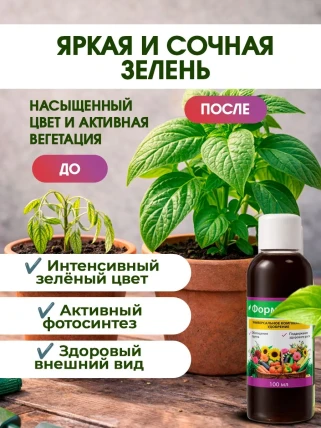 Форост — Состав