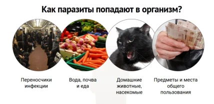 ШИ — Показания к применению