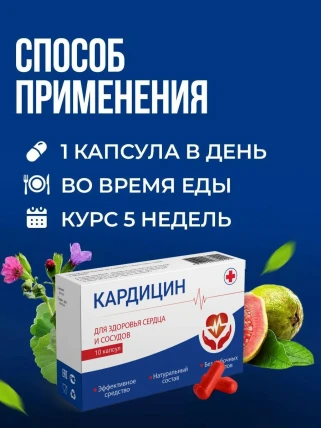 Кардицин — Фармакодинамика и фармакокинетика