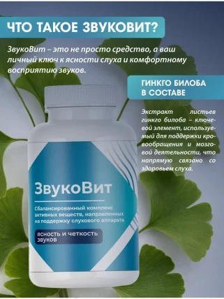 ЗвукоВит — Фармакодинамика и фармакокинетика