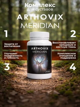 Arthovix Meridian — Фармакодинамика и фармакокинетика