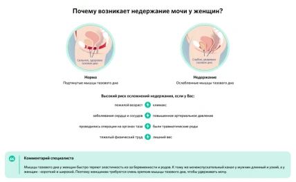 Урофарм — Показания к применению