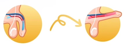 Союз-Аполлон — Комплектность