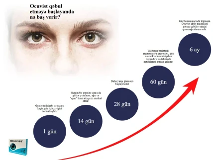 Ocuvist — Tərkibi