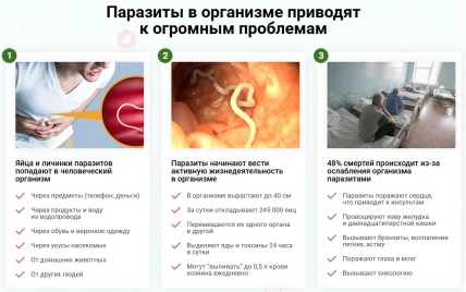 Бактери Форм — Где купить Бактери Форм, наличие и цены в аптеках