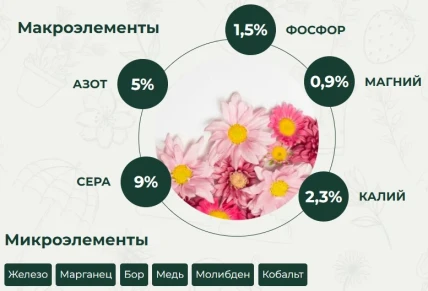 Эрвита — Состав