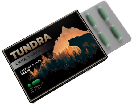 Тундра — Фармакологическая группа
