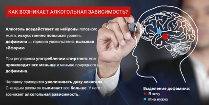 Алкодин — Фармакодинамика и фармакокинетика