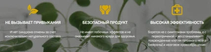Форте Менте Голд — Инструкция по применению и дозы