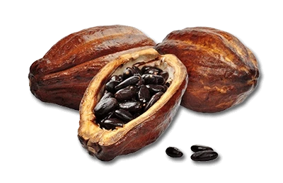 Артериал — Фармакодинамика и фармакокинетика