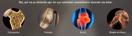 BeeFlex Forte — İstifadə göstərişləri