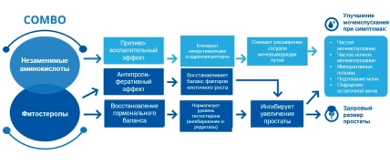Стопинор — Показания к применению