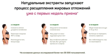 Дао Слим — Где купить Дао Слим, наличие и цены в аптеках