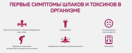 סיבידל — פרמקודינמיקה ופרמקוקינטיקה