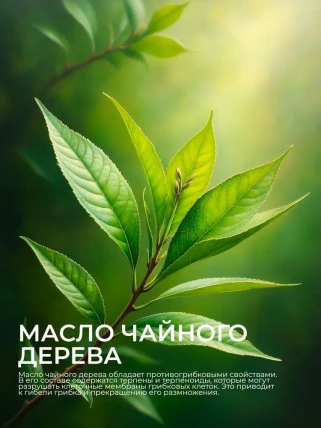 НоготОК — Противопоказания