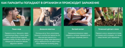 Фабитол — Инструкция по применению и дозы