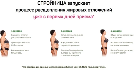 Стройница — Противопоказания